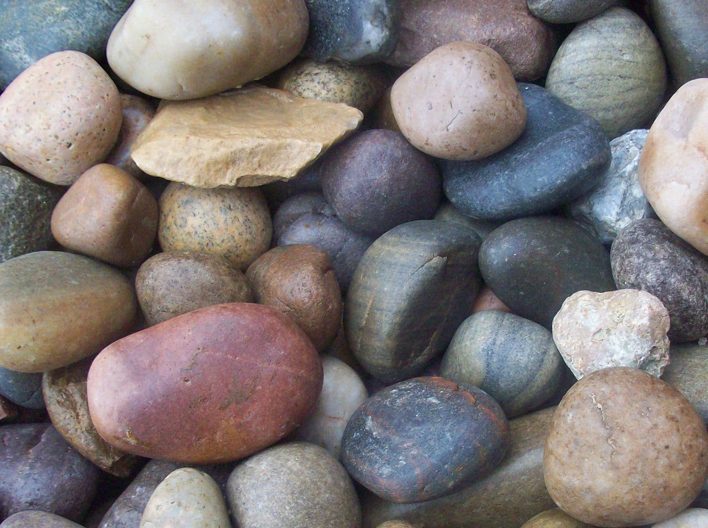 Scottish Cobbles 30-50mm - Bulk Bag