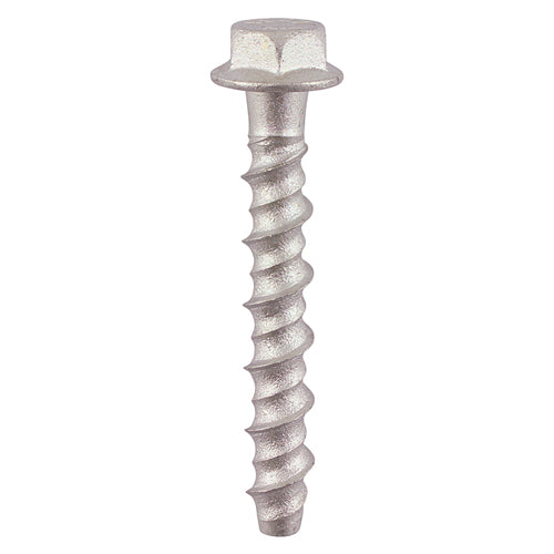 Masonry Bolts - Hex - Exterior - Silver