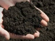Top Soil - Screened - Bulk Bag