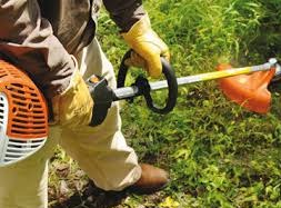Stihl Petrol Strimmer